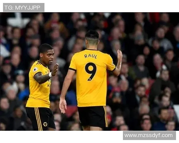 卡迪夫城与狼队2018年历史交锋回顾及赛季表现分析 卡迪夫城与狼队2018年历史交锋回顾及赛季表现分析